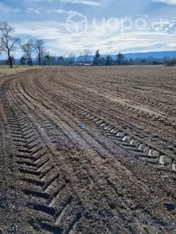 Campo Agrícola - Imagen 2