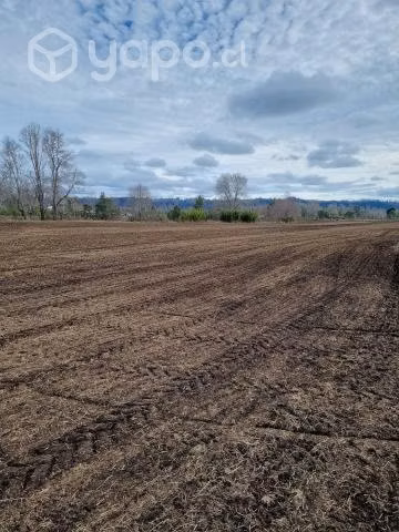 Campo Agrícola - Imagen 6