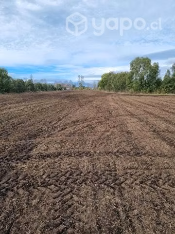 Campo Agrícola - Imagen 12