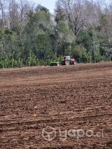 Campo Agrícola