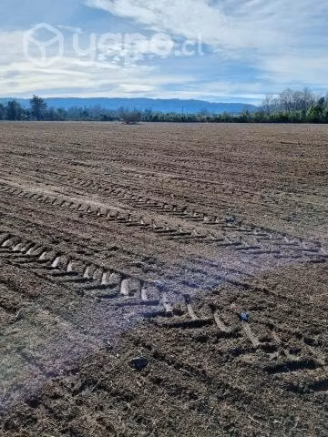 Campo Agrícola - Imagen 3