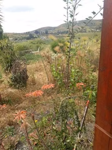 Se vende casa en parcela de 5.000mt2