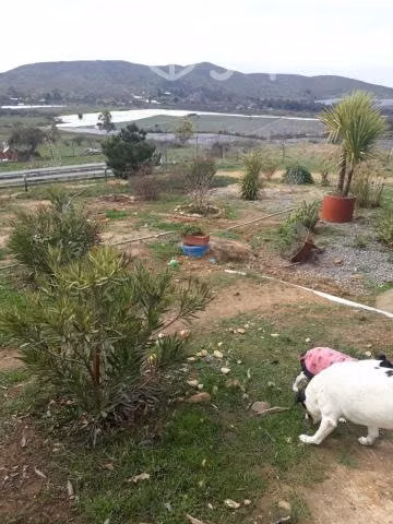 Se vende casa en parcela de 5.000mt2