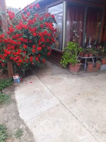Se vende casa en parcela de 5.000mt2
