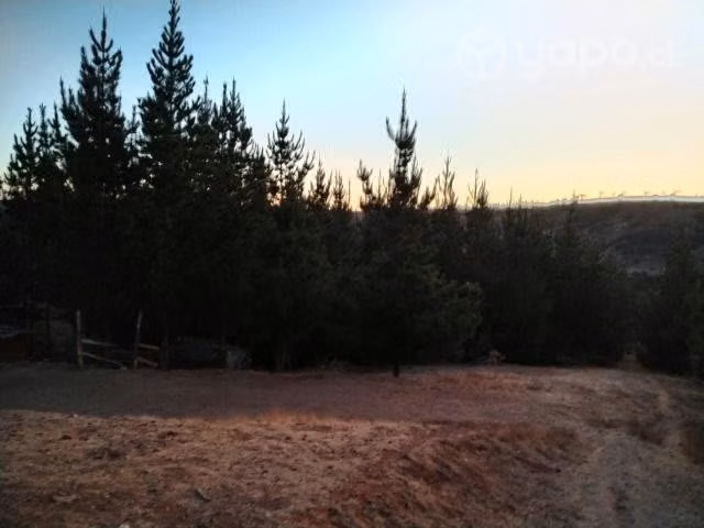 Se vende parcela - Imagen 2