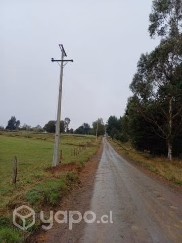 Vendo hermosa Parcela con bosque nativo - Imagen 5