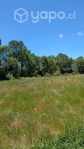 Vendo hermosa Parcela con bosque nativo - Imagen 6