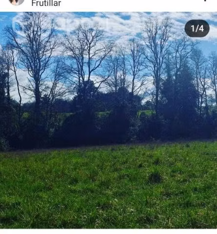 Vendo hermosa Parcela con bosque nativo - Imagen 2