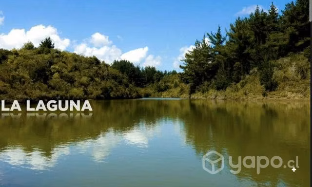 SITIO COBQUECURA 5.000 mt2