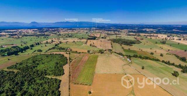 Parcelas A 5 Minutos Del Lago Ranco - Imagen 2