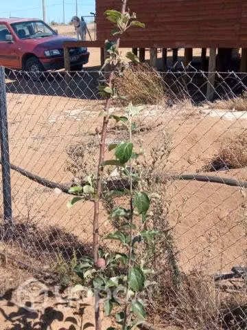 Terreno 1 hectarea y casa 54 m cerrillos pobres - Imagen 13