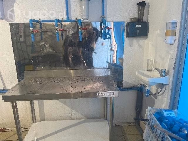 Vendo Planta purificadora de agua ya instalada