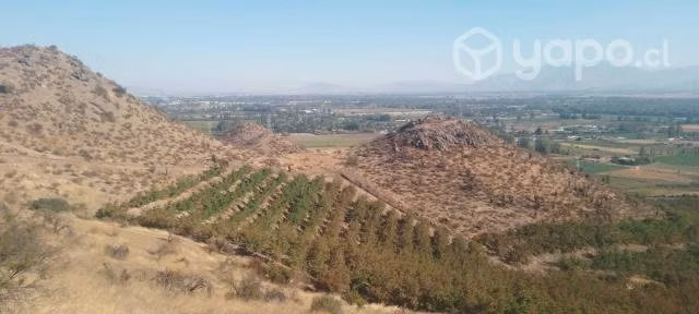 Terrenos En Fundo Talanquen