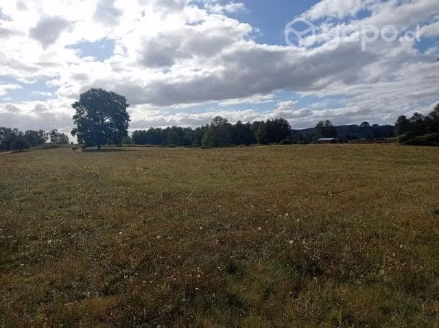 Parcela Agrícola - Imagen 2