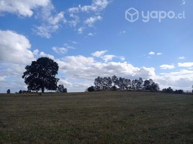 Parcela Agrícola - Imagen 4