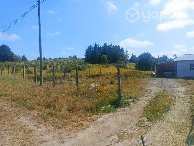 Se vende Parcela 5000 mts. Con casa grande