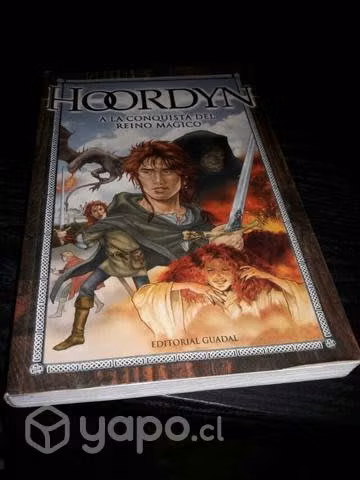 Libro Hoordyn a la conquista del reino mágico