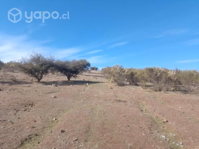 Espectacular parcela de 0,5 hectareas sector el cu