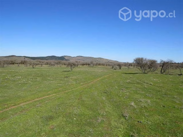 Parcela Cauquenes San Isidro