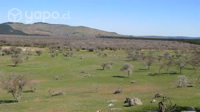Parcela Cauquenes San Isidro
