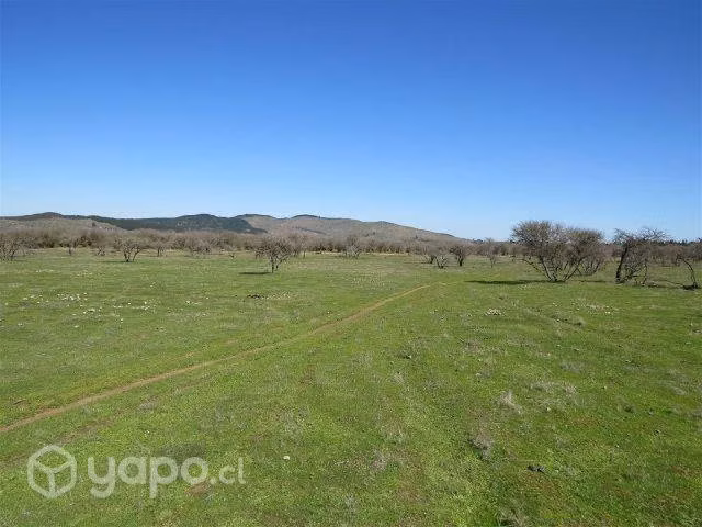 Sitio Cauquenes San Isidro