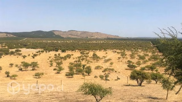 Sitio Cauquenes San Isidro