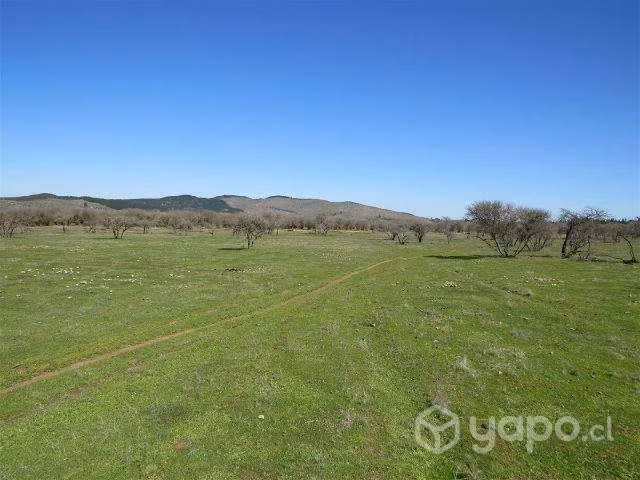 Sitio Cauquenes San Isidro
