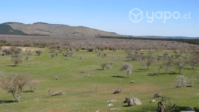Sitio Cauquenes San Isidro