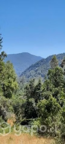 Vendo parcela en Villarrica - Imagen 5