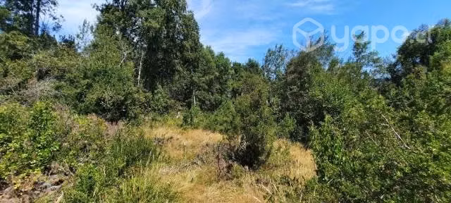Vendo parcela en Villarrica - Imagen 6