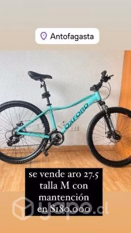 Vendo Oxford Venus 1