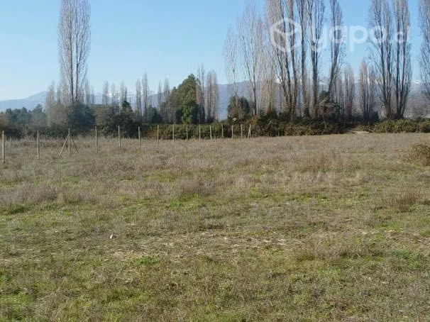 Excelente ubicacion en Pre cordillera de Linares - Imagen 5