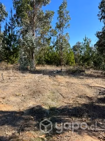 Casa Paredones a 30 minutos Bucalemu y Vichuquen