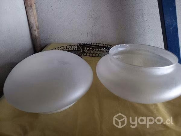 2 tulipas nuevas de 13 cm de diámetro