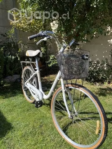 Bicicleta Paseo Oxford