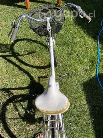 Bicicleta Paseo Oxford
