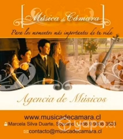 Músicos y Artístas en Chile
