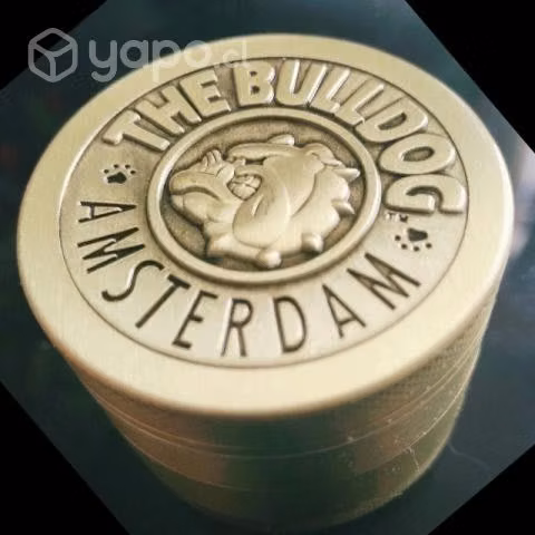 Moledores The Bulldog
