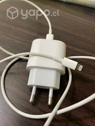 Cargador iPhone original