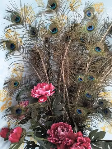 Plumas de pavo real