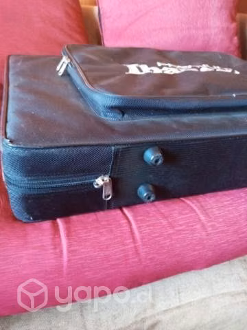 Estuche bajo Ibanez