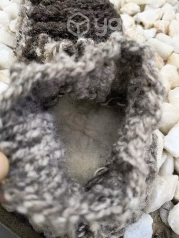 Pantuflas y calcetines de algodón