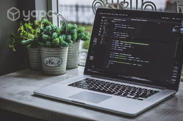 Asesoría tareas y trabajos de programación