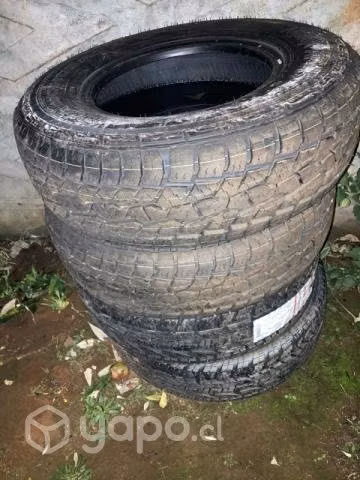 Neumáticos nuevos - Imagen 3