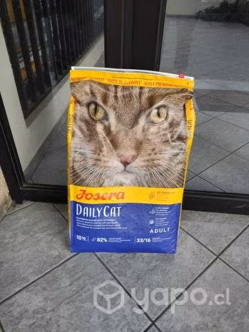 Alimento Gato DailyCat