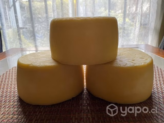 Quesos De Campo 100% Artesanales