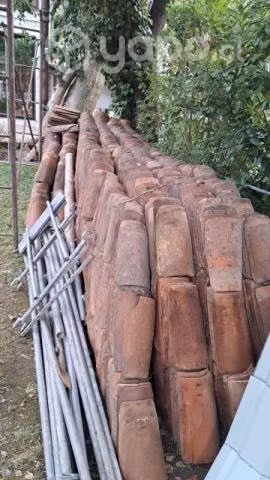 Teja chilena