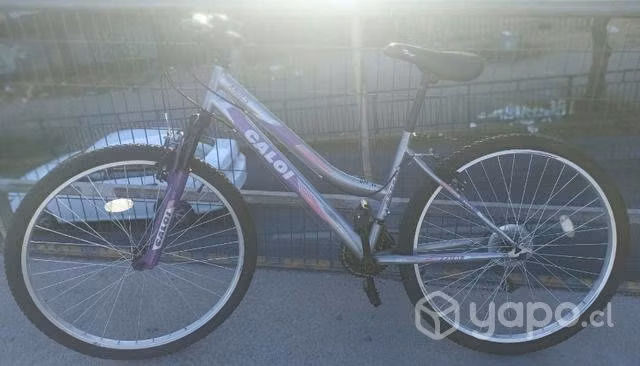 Bicicleta caloi