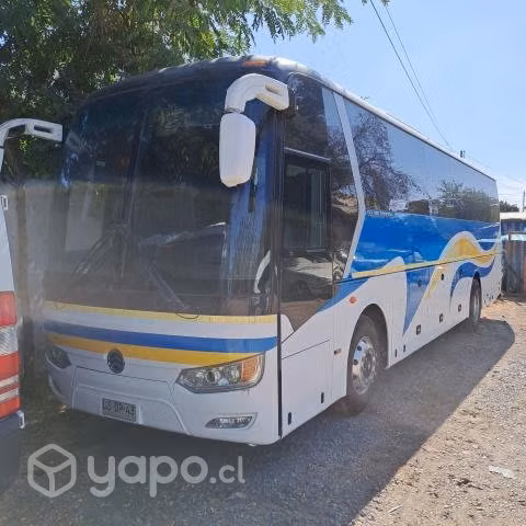 Bus disponible