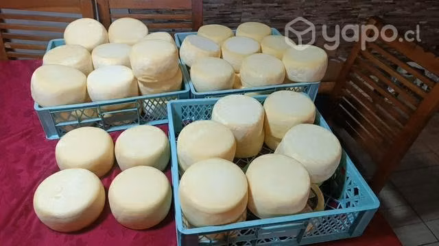 Quesos artesanales de valdivia!!!